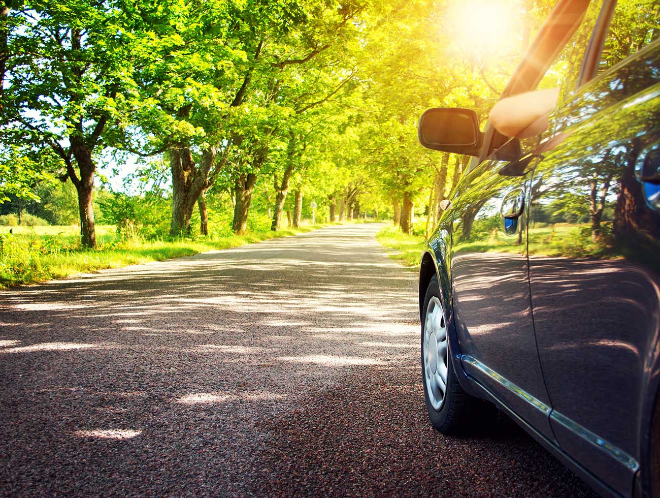 55118306-car-on-asphalt-road-on-summer-day-at-park